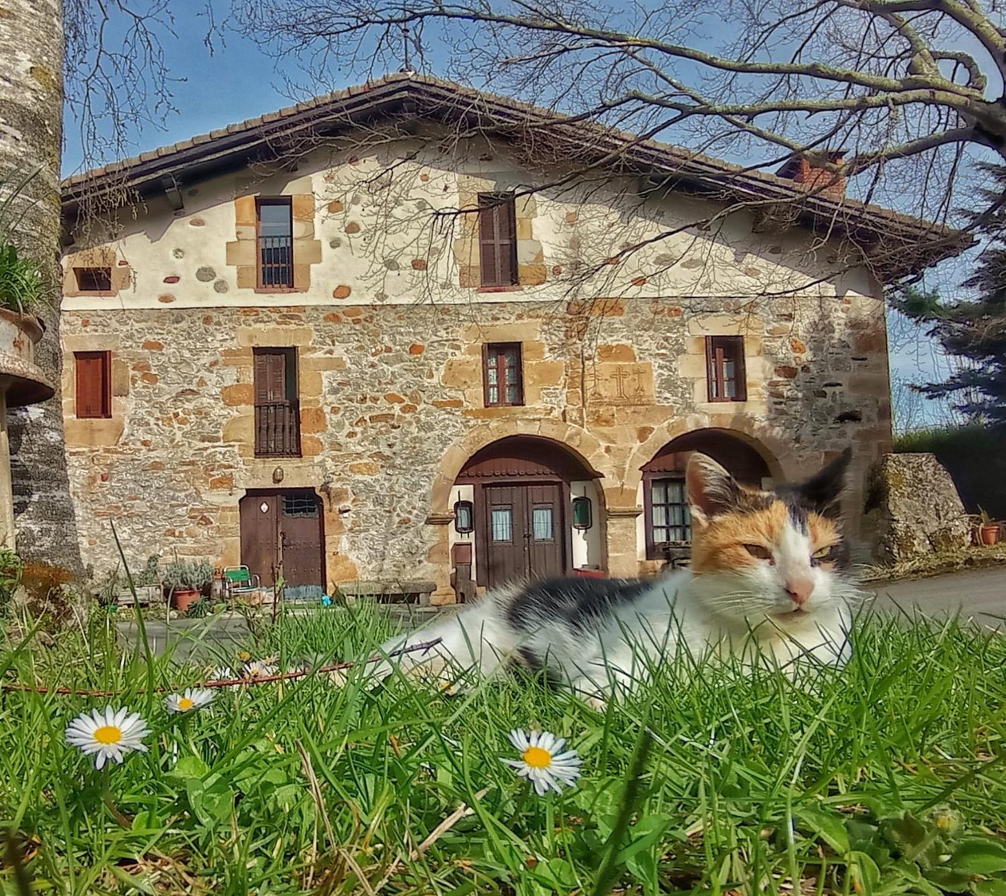 Casa Rural Areano Escoriaza Luaran gambar